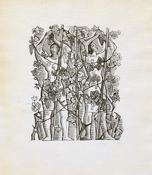 «Збір винограду», 1960-і