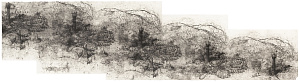 «Сады и башни», 2009