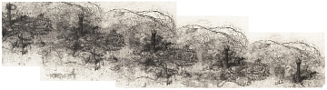«Сади і вежі», 2009