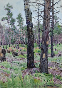 «Константиновка», 1923