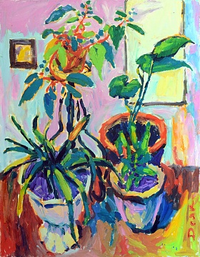 «Кімнатні квіти», 2006