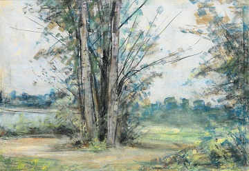 «Дві берези і кущ», 1970-і