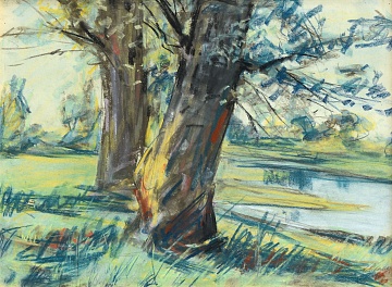 «Літо. Голосіївський ліс», 1972