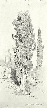 «Кипариси (Алупка)», 1893